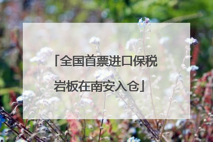 全国首票进口保税岩板在南安入仓