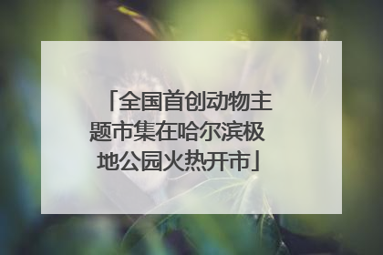 全国首创动物主题市集在哈尔滨极地公园火热开市