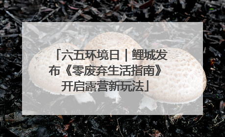 六五环境日｜鲤城发布《零废弃生活指南》开启露营新玩法