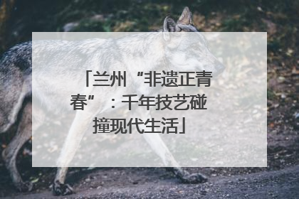 兰州“非遗正青春”：千年技艺碰撞现代生活