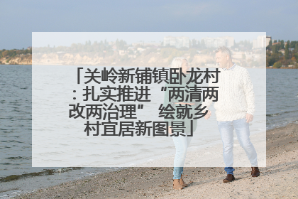 关岭新铺镇卧龙村：扎实推进“两清两改两治理” 绘就乡村宜居新图景