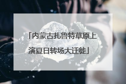 内蒙古扎鲁特草原上演夏日转场大迁徙