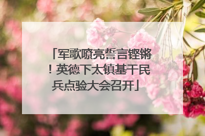 军歌嘹亮誓言铿锵！英德下太镇基干民兵点验大会召开