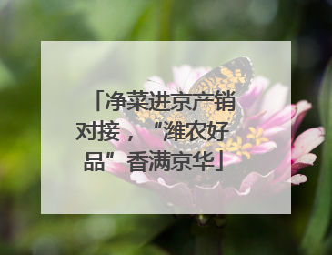 净菜进京产销对接，“潍农好品”香满京华