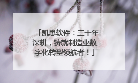 凯思软件：三十年深耕，铸就制造业数字化转型领航者！