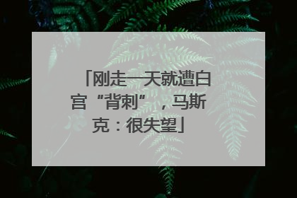 刚走一天就遭白宫“背刺”，马斯克：很失望