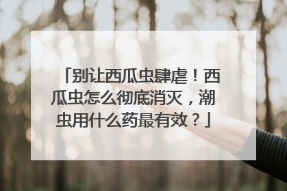 别让西瓜虫肆虐！西瓜虫怎么彻底消灭，潮虫用什么药最有效？
