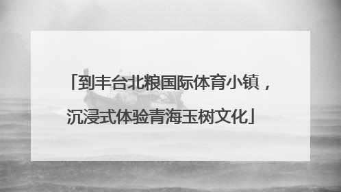 到丰台北粮国际体育小镇，沉浸式体验青海玉树文化