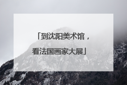 到沈阳美术馆，看法国画家大展