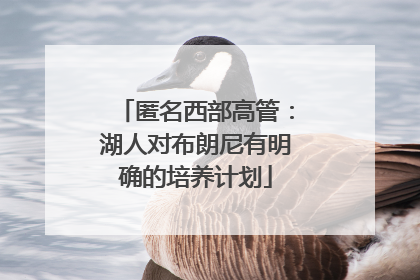 匿名西部高管：湖人对布朗尼有明确的培养计划