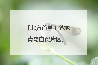 北方首单！落地青岛自贸片区