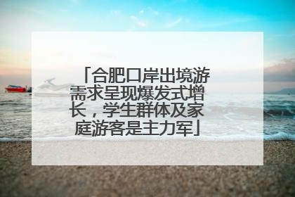 合肥口岸出境游需求呈现爆发式增长，学生群体及家庭游客是主力军