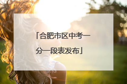 合肥市区中考一分一段表发布