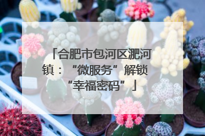 合肥市包河区淝河镇：“微服务”解锁“幸福密码”