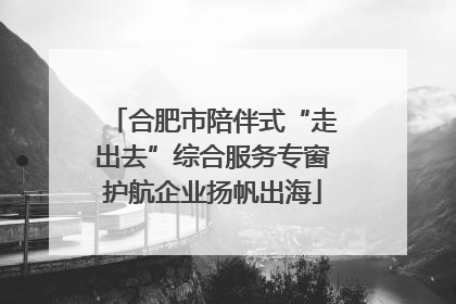 合肥市陪伴式“走出去”综合服务专窗护航企业扬帆出海
