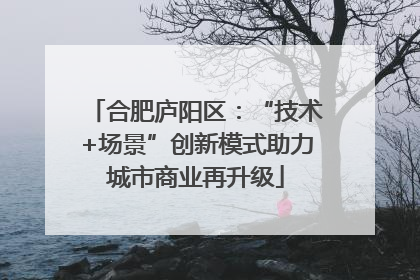 合肥庐阳区：“技术+场景”创新模式助力城市商业再升级