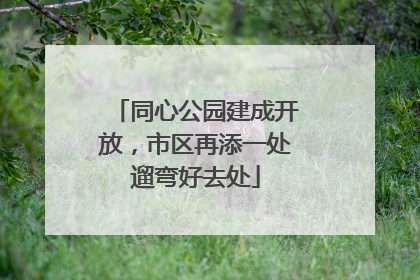 同心公园建成开放，市区再添一处遛弯好去处