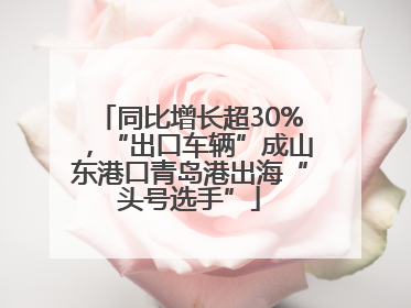 同比增长超30%，“出口车辆”成山东港口青岛港出海“头号选手”