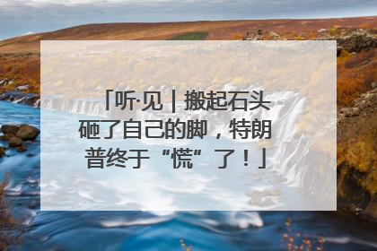 听·见｜搬起石头砸了自己的脚，特朗普终于“慌”了！