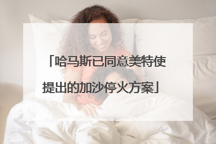 哈马斯已同意美特使提出的加沙停火方案