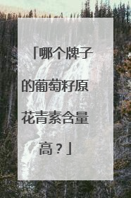 哪个牌子的葡萄籽原花青素含量高？