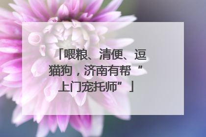 喂粮、清便、逗猫狗，济南有帮“上门宠托师”