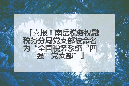 喜报！南岳税务祝融税务分局党支部被命名为“全国税务系统‘四强’党支部”