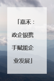 嘉禾：政企银携手赋能企业发展