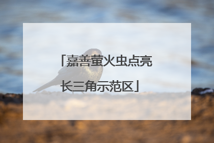 嘉善萤火虫点亮长三角示范区