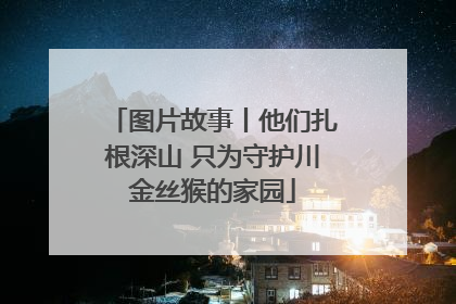 图片故事丨他们扎根深山 只为守护川金丝猴的家园