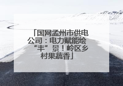 国网孟州市供电公司：电力赋能绘“丰”景！岭区乡村果蔬香