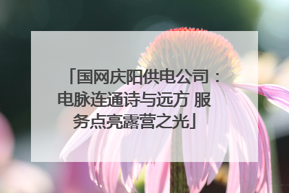 国网庆阳供电公司：电脉连通诗与远方 服务点亮露营之光