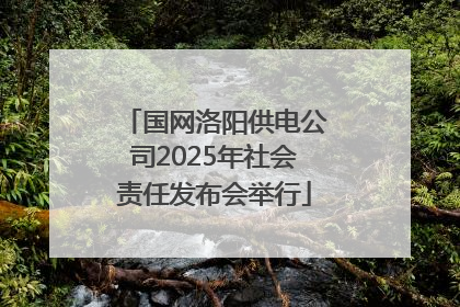 国网洛阳供电公司2025年社会责任发布会举行
