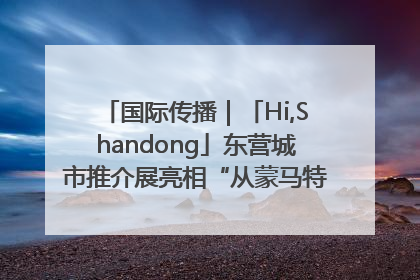 国际传播｜「Hi,Shandong」东营城市推介展亮相“从蒙马特到加里波第”文化节