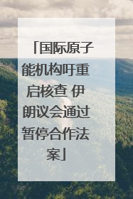 国际原子能机构吁重启核查 伊朗议会通过暂停合作法案