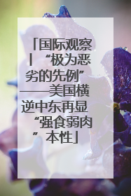 国际观察丨“极为恶劣的先例”——美国横逆中东再显“强食弱肉”本性