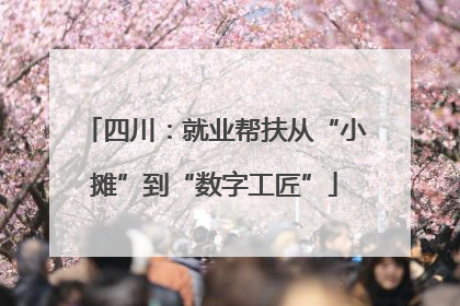 四川：就业帮扶从“小摊”到“数字工匠”