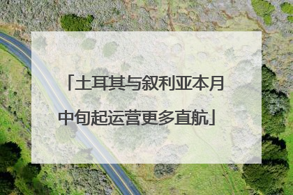 土耳其与叙利亚本月中旬起运营更多直航