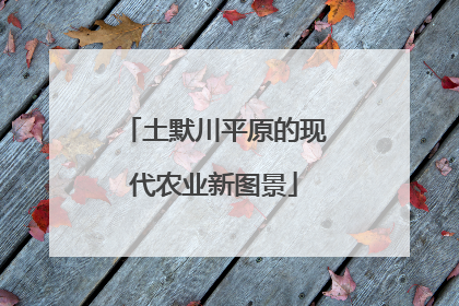 土默川平原的现代农业新图景