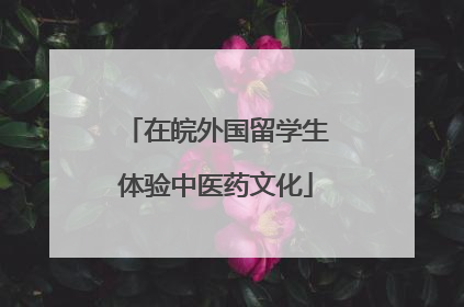 在皖外国留学生体验中医药文化