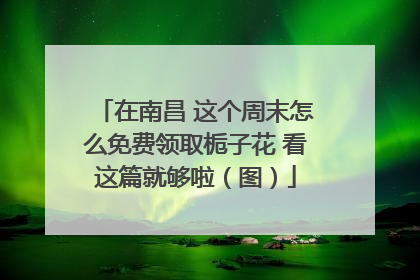 在南昌 这个周末怎么免费领取栀子花 看这篇就够啦（图）