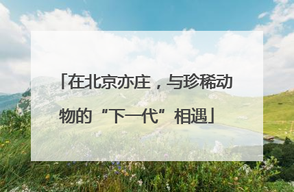 在北京亦庄，与珍稀动物的“下一代”相遇