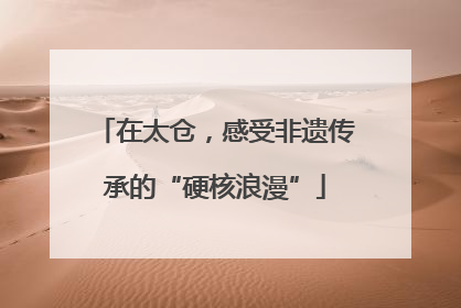 在太仓，感受非遗传承的“硬核浪漫”