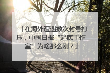 在海外遭遇数次封号打压，中国日报“起底工作室”为啥那么刚？