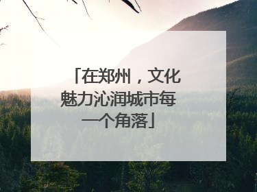 在郑州，文化魅力沁润城市每一个角落