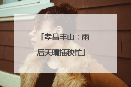 孝昌丰山：雨后天晴插秧忙