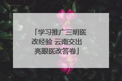 学习推广三明医改经验 云南交出亮眼医改答卷