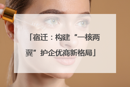 宿迁：构建“一核两翼”护企优商新格局