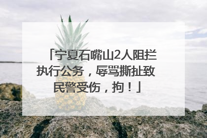 宁夏石嘴山2人阻拦执行公务，辱骂撕扯致民警受伤，拘！