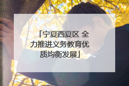 宁夏西夏区 全力推进义务教育优质均衡发展
